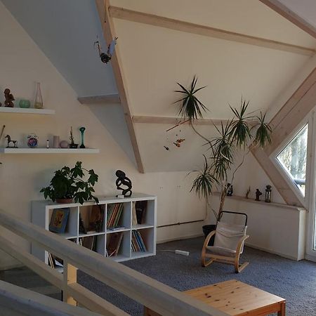 Grande Maison Avec Spa Proche De Caen Et De La Mer Brouay Eksteriør bilde